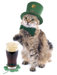 Red cat with leprechaun hat and Irish beer on four leafs clover